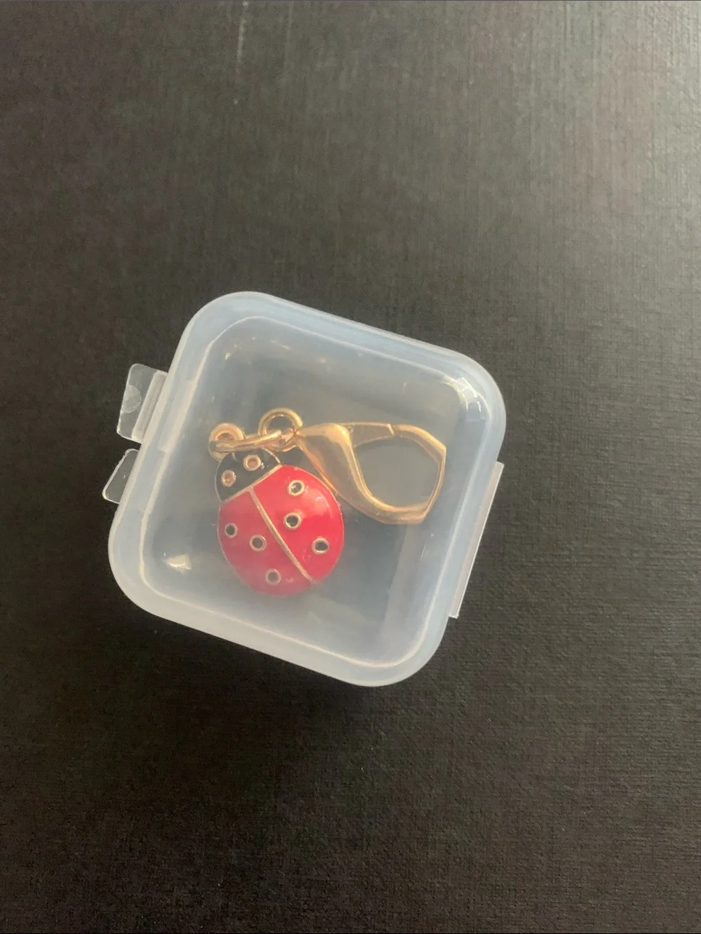 Ladybug Enamel Charm Keyring - Red and Black